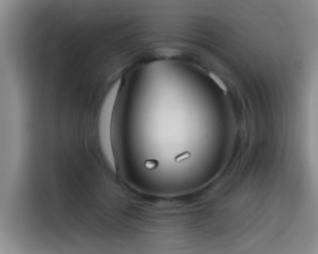X0000113920556200910011514