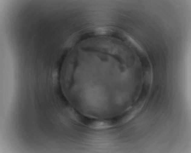 X0000113920557200910011514