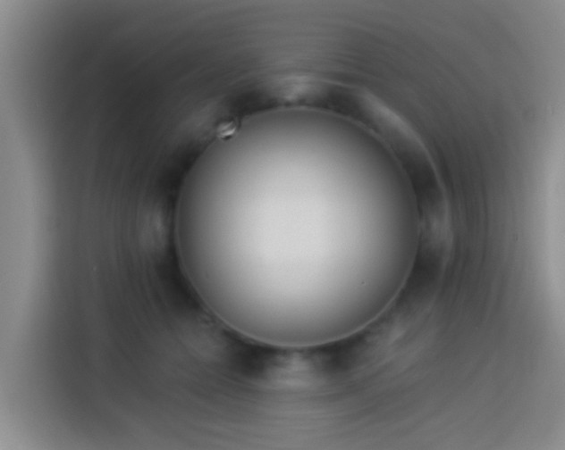 X0000113920558200910011514