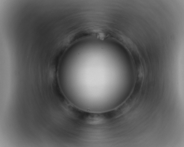 X0000113920559200910011514