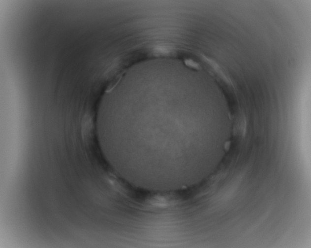 X0000113920560200910011514