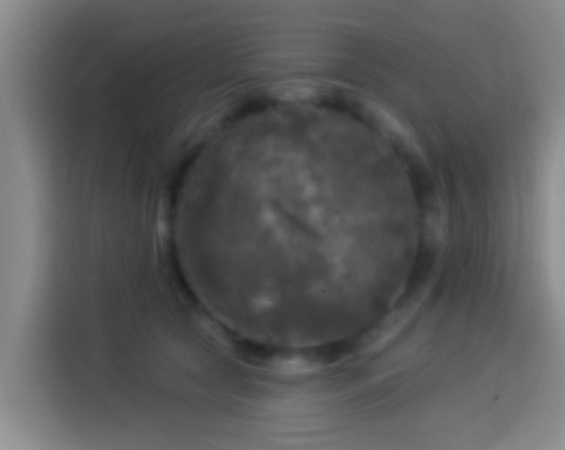 X0000113920561200910011514