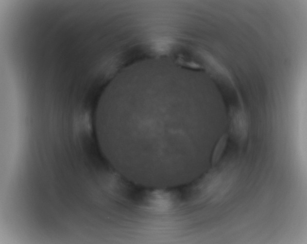 X0000113920562200910011514