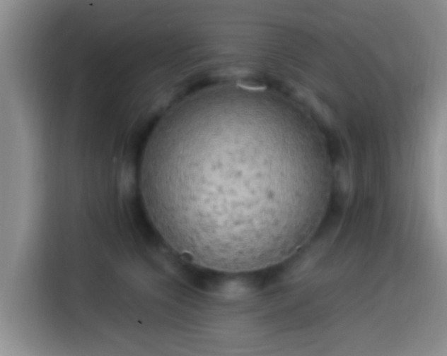X0000113920564200910011514