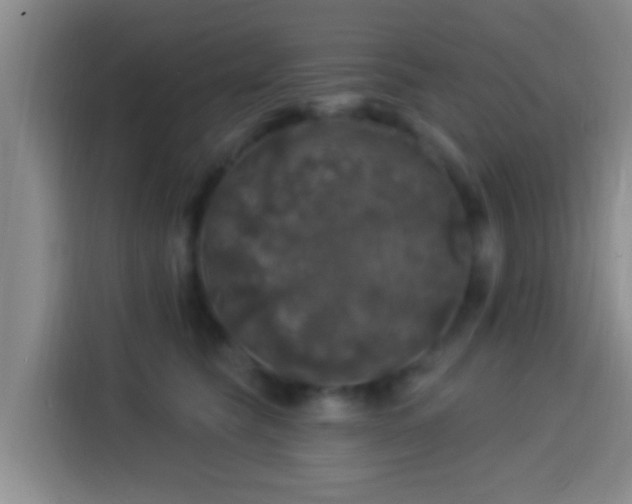 X0000113920565200910011514