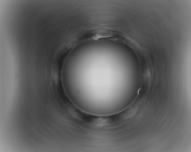 X0000113920566200910011514