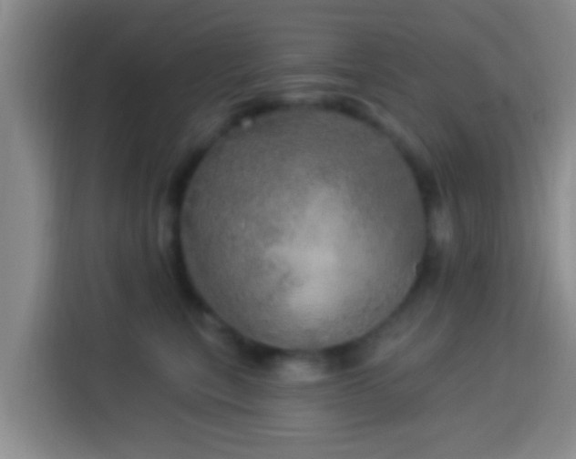 X0000113920567200910011514