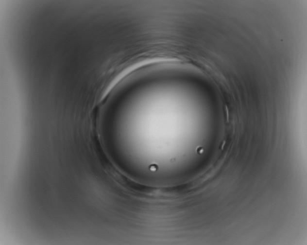 X0000113920568200910011514