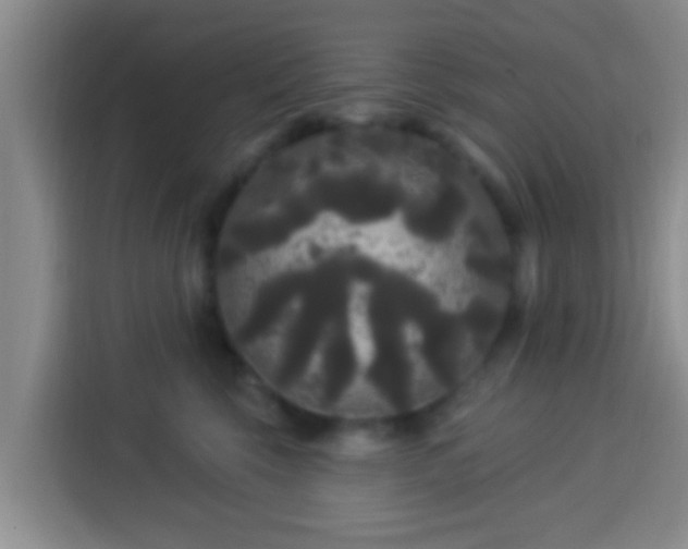 X0000113920569200910011514