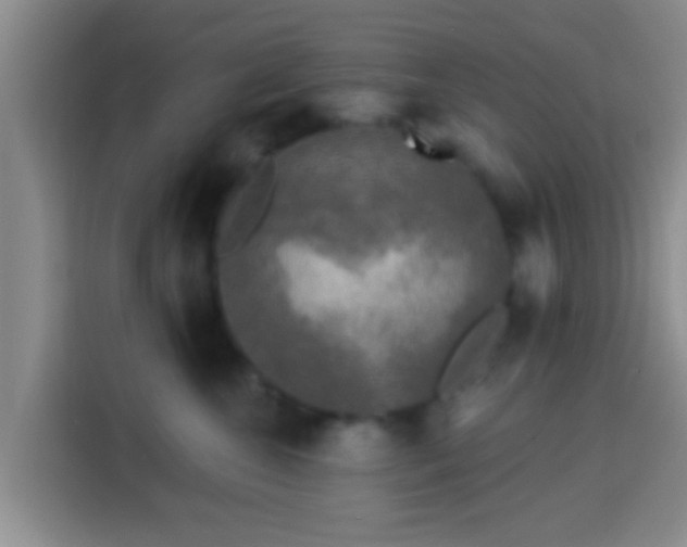 X0000113920572200910011514