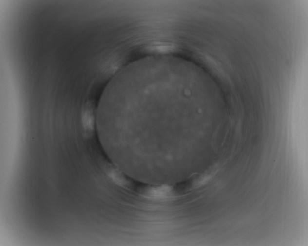 X0000113920576200910011514