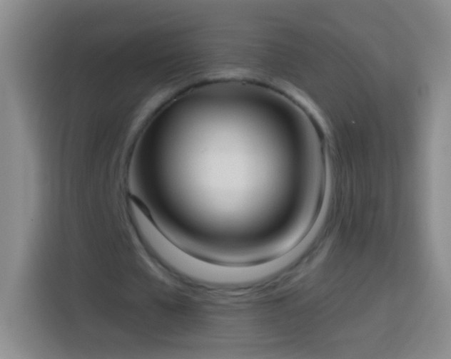 X0000113920577200910011514