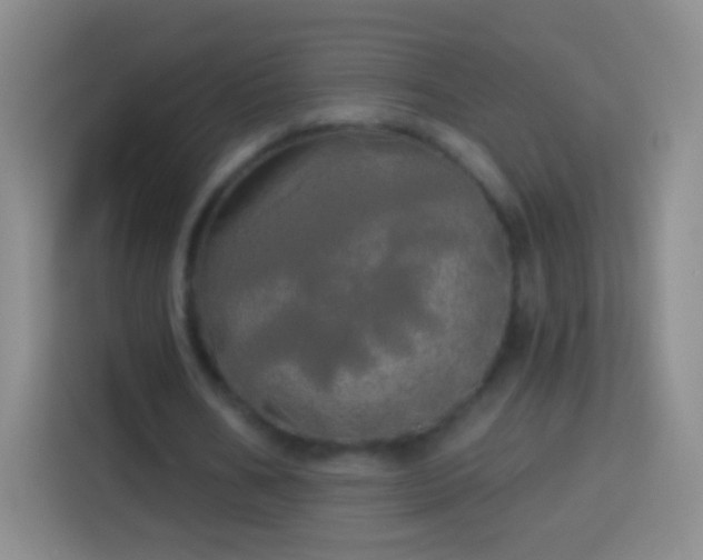 X0000113920578200910011514
