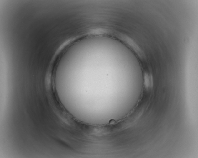 X0000113920579200910011514