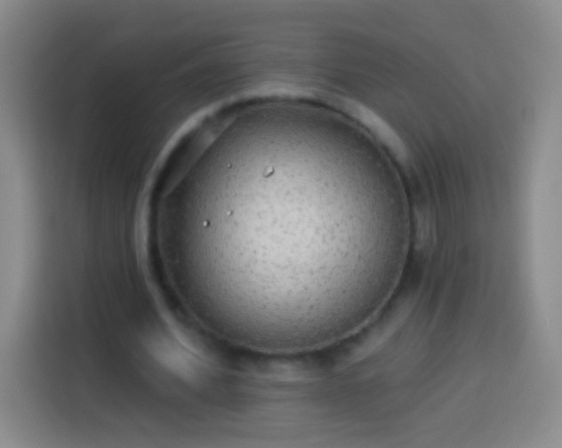 X0000113920580200910011514