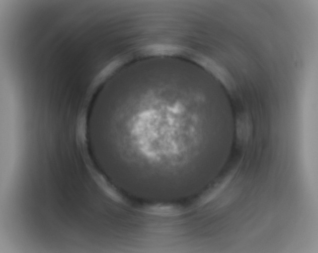 X0000113920581200910011514