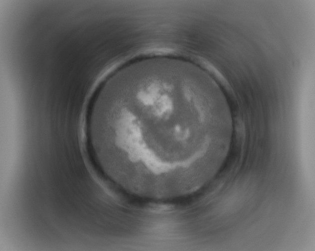 X0000113920582200910011514