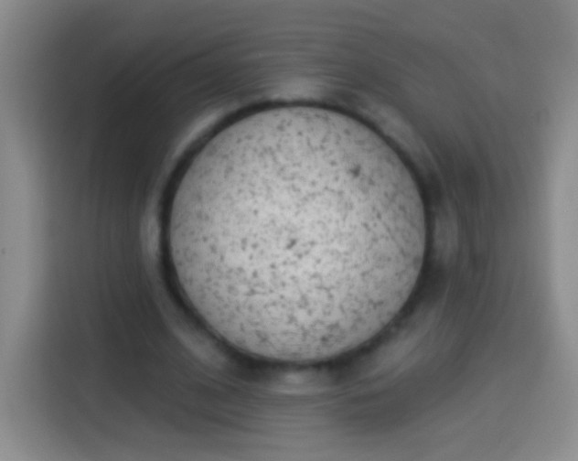 X0000113920584200910011514