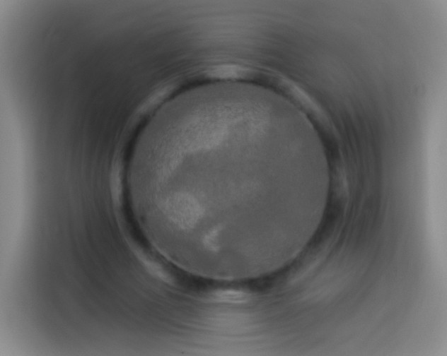 X0000113920586200910011514