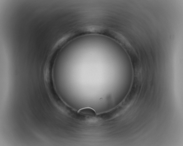 X0000113920587200910011514