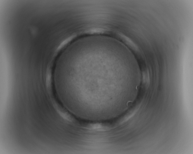X0000113920588200910011514
