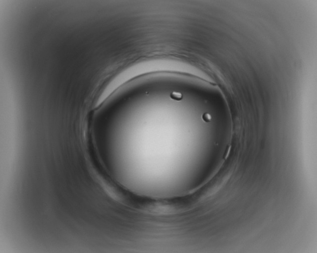 X0000113920589200910011514