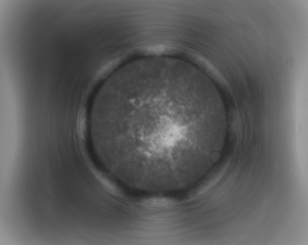 X0000113920590200910011514