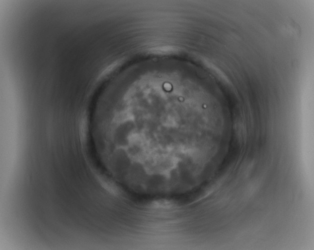 X0000113920591200910011514