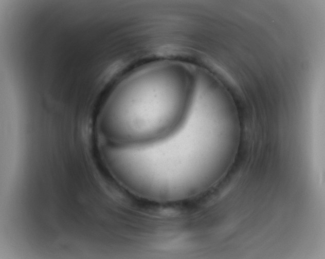 X0000113920592200910011513