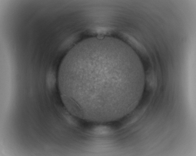 X0000113920593200910011513