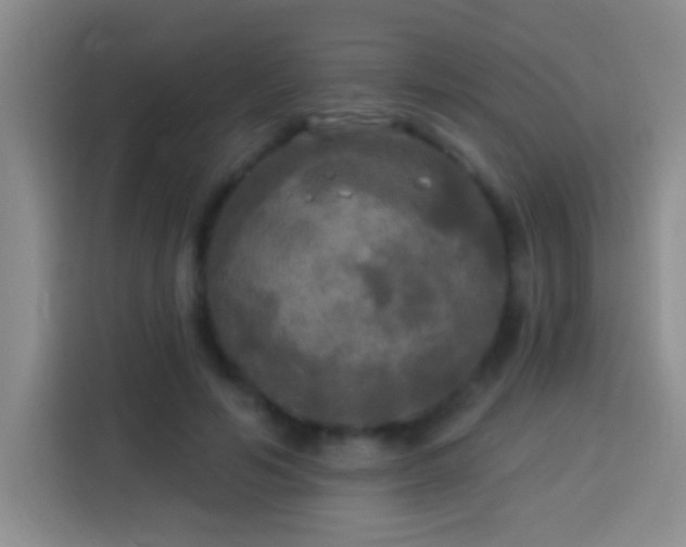 X0000113920594200910011513