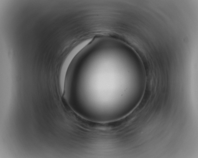 X0000113920595200910011513