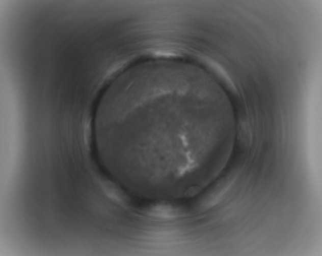 X0000113920596200910011513