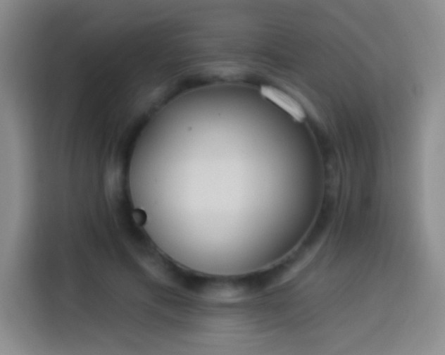 X0000113920597200910011513