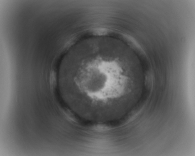 X0000113920598200910011513