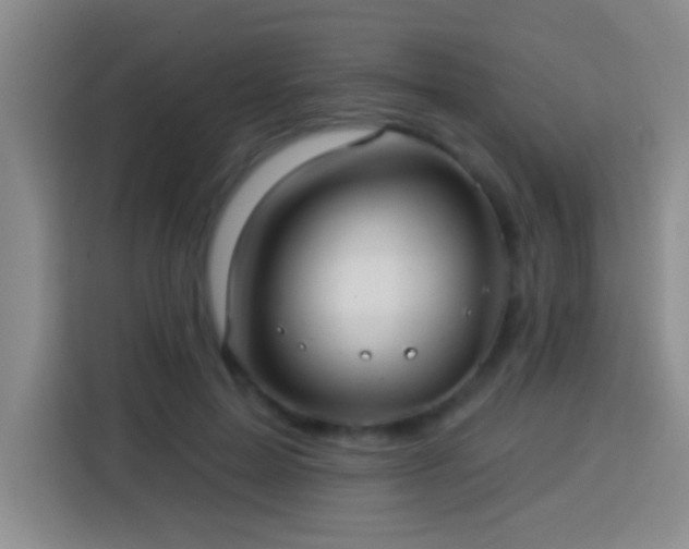 X0000113920599200910011513