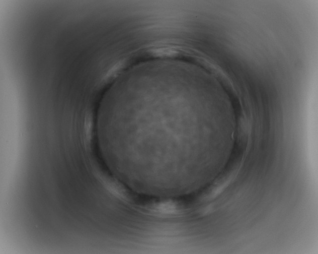 X0000113920600200910011513