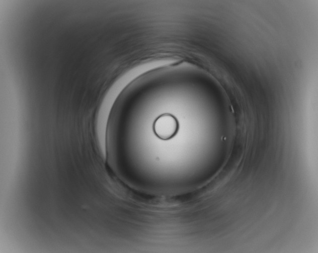 X0000113920601200910011513