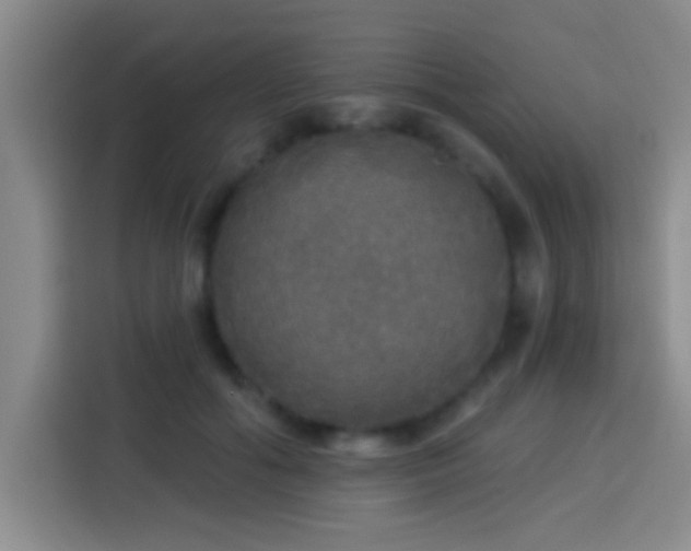 X0000113920602200910011513