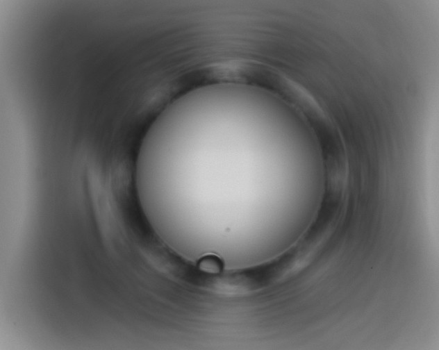 X0000113920603200910011513