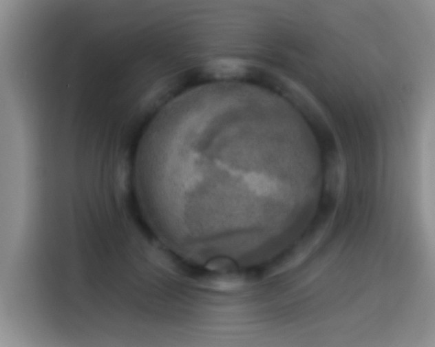 X0000113920604200910011513