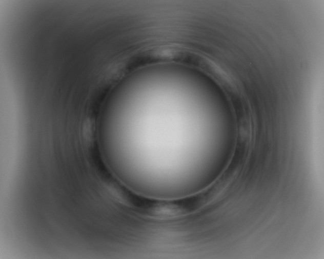 X0000113920605200910011513