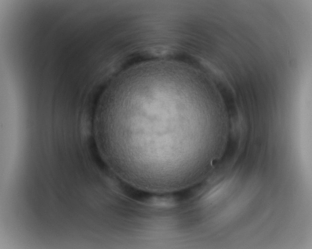X0000113920606200910011513