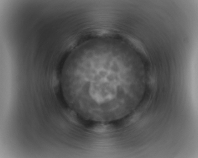 X0000113920607200910011513