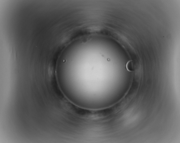 X0000113920608200910011513