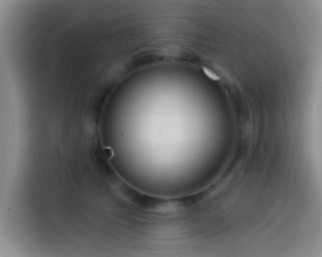 X0000113920609200910011513
