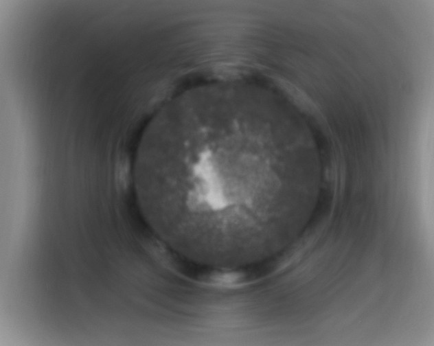 X0000113920610200910011513