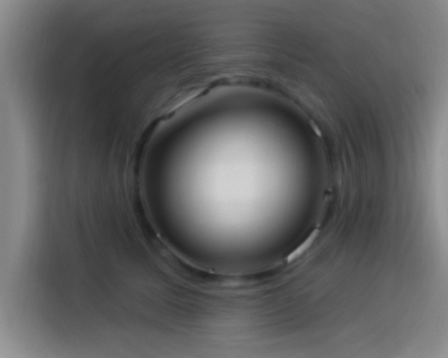 X0000113920611200910011513