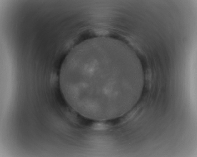 X0000113920614200910011513
