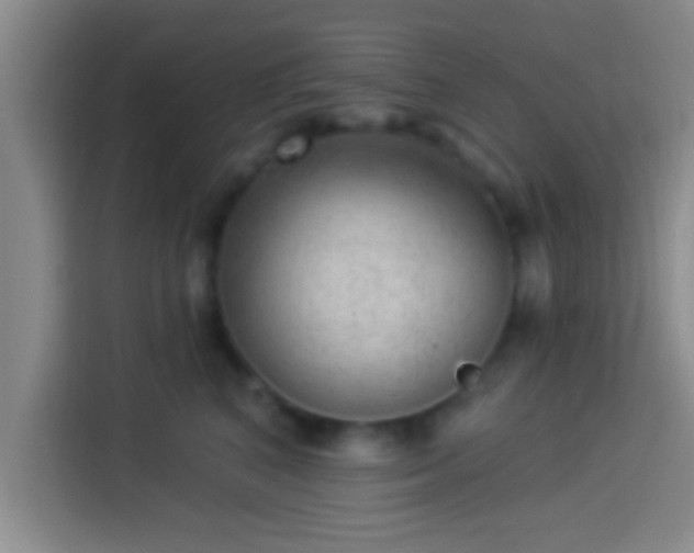 X0000113920616200910011513